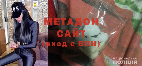 индика Гусев