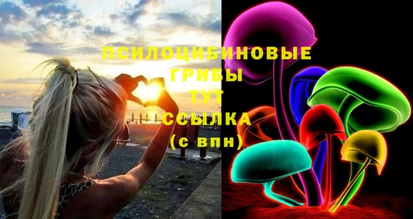 мдма Горняк