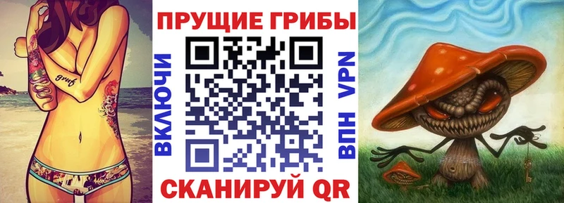 Псилоцибиновые грибы MAGIC MUSHROOMS  Купить где  Зеленоградск 