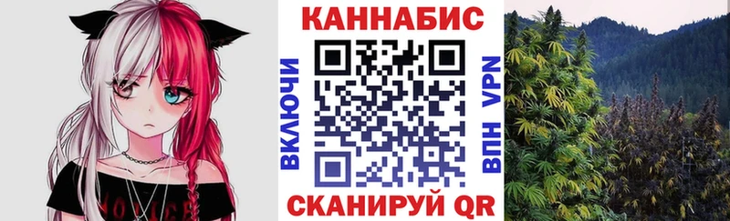 Купить закладки  Зеленоградск  Марихуана план 